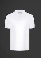 Men's Polo Shirts
