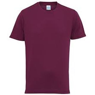 Men's Plain T- Shirts