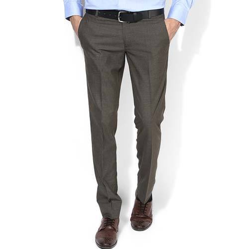 Buy Men Grey Textured Carrot Fit Formal Trousers Online  652466  Peter  England