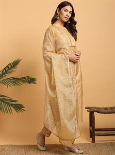 Salwar Suit-Womens Wear