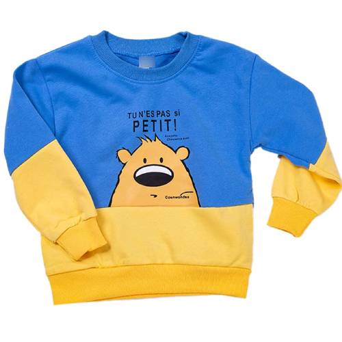 Kids Sweatshirts