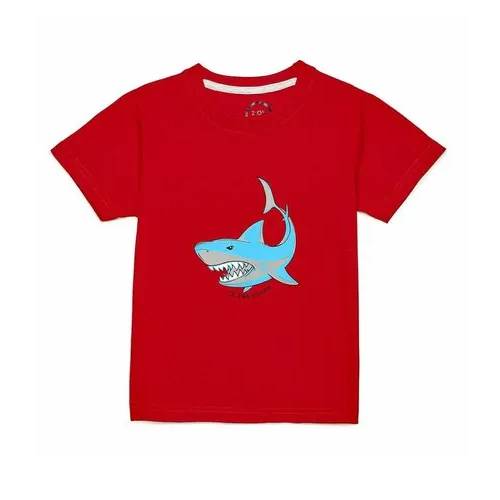 Boys Cotton T-shirts