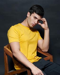 Men's Plain Bamboo T Shirts