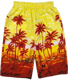 Men's Swimming Shorts