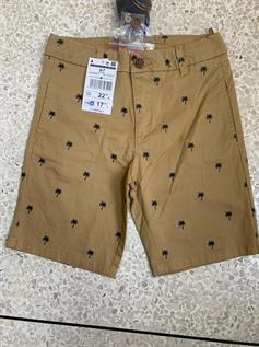 Boy's Twill Printed Shorts