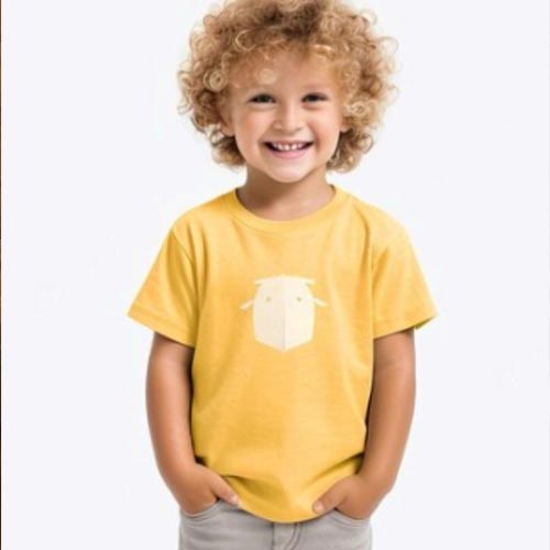 Boys Graphic Print T Shirts