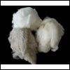 Cashmere Fibre