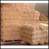 Coir / Coconut Fibre