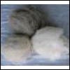 Cashmere Fibre