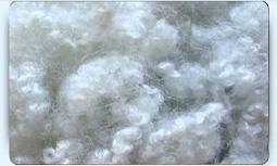 Polyester Staple Fibre (PSF)
