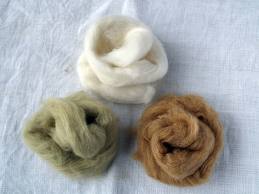 Cotton Fibre