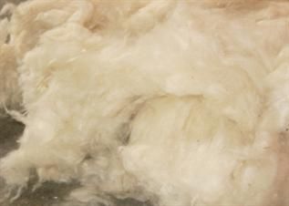 Greige, -, -, For garment industry