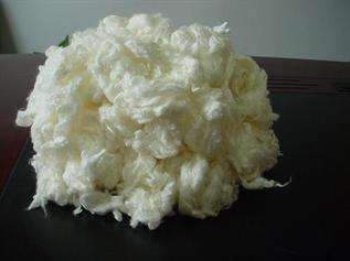 Raw White, Staple, For Making Spun Yarn