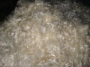 Greige, -, -, For Spinning Yarn