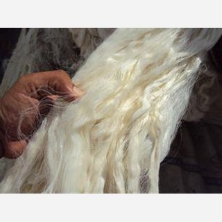 Optical white shade, Staple, For making yarn after ring spinning