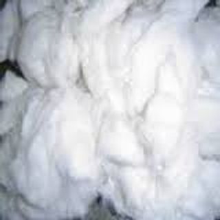 Raw White, 20-24 mm, 1.5-1.7 Denier, cotton wool for medicial purpose