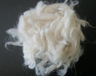 Scoured Wool natural color, 75mm, 32 micron, 15% moisture, 1% grease content, Yarn spinning, carpet