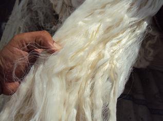 Greige, 4.15 - 4.6 dtex, For Spinning