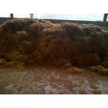 Dyed, 10-25cm, 0.8, mattress