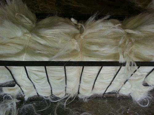 sisal fibre