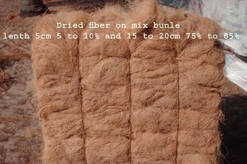 Coir Fibre