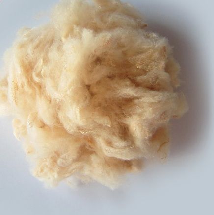 100% Natural Coconut Hollow Cellulose Fiber