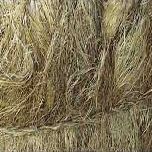 100% Sisal Fiber