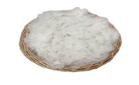 Wool Fibre