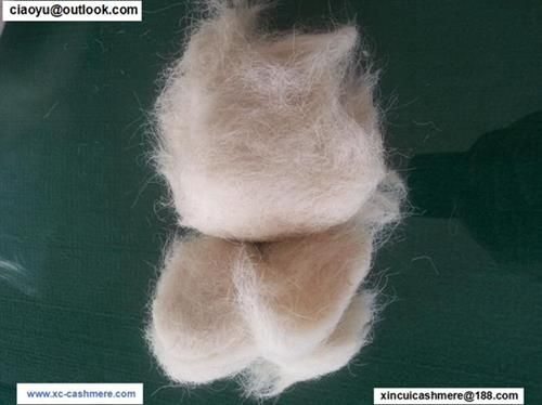 Wool Fibre Waste