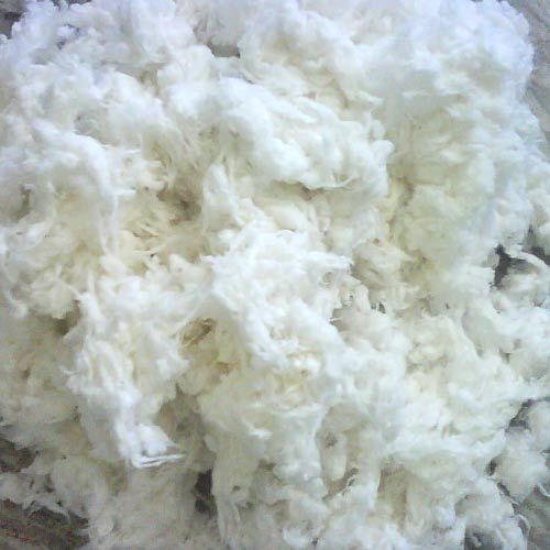 Cotton Fibre Raw white, 11/8", 3.8 and 4.2 Micronair, For yarn