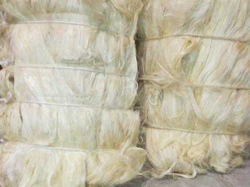 Sisal Fibre-Natural