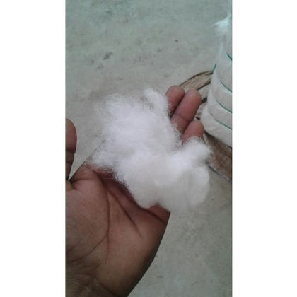 Recycle Polyester Fibre