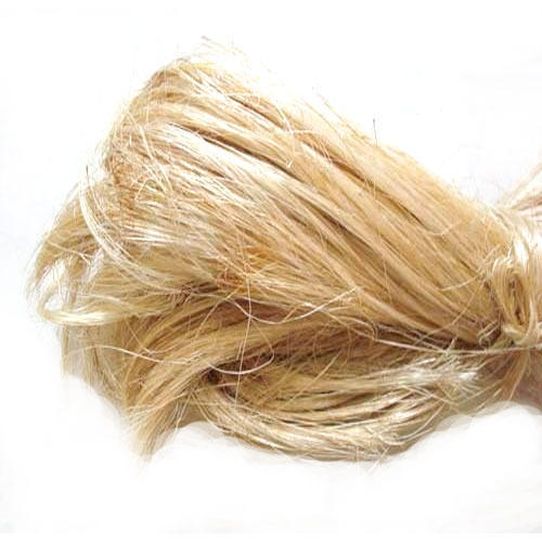 Abaca Fiber