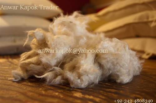 Kapok Fibre-Natural