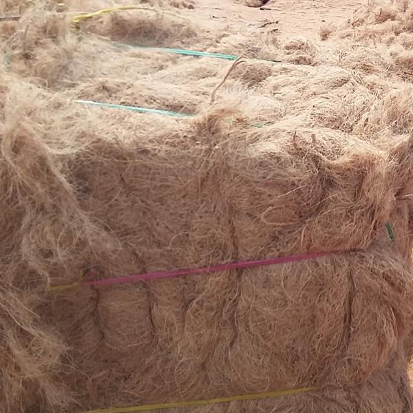 Coir Coconut Fiber