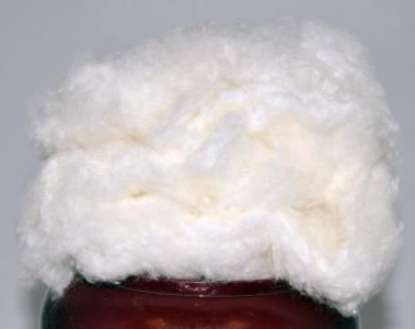  Polyester Staple Fibre