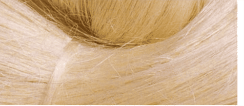 Sisal Fibre-Natural