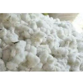 Cotton Fibre-Natural