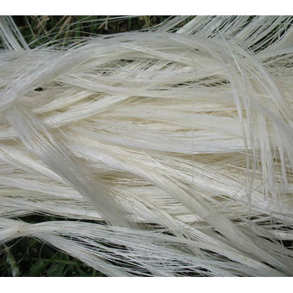 Sisal Fibre