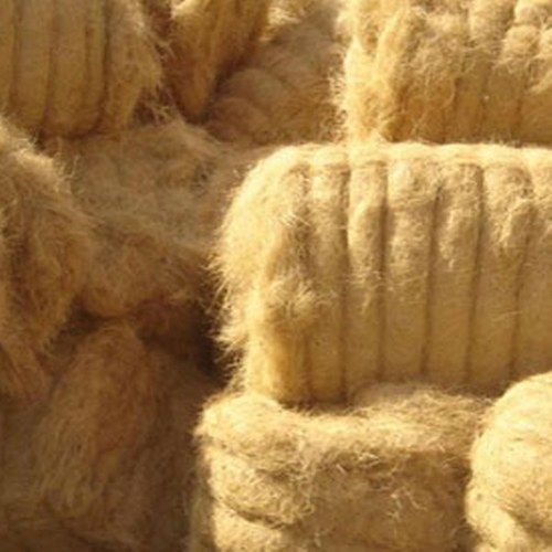 Coir Fibre