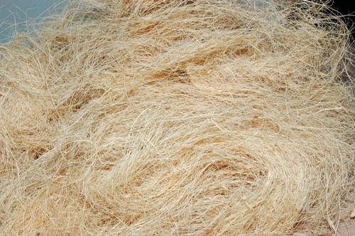 Coir Fibre