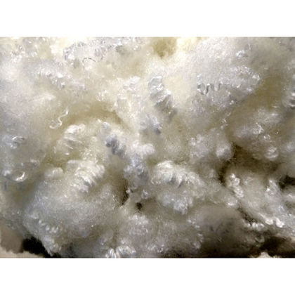 Polyester Fibre