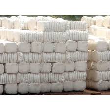 Cotton Natural Fibre