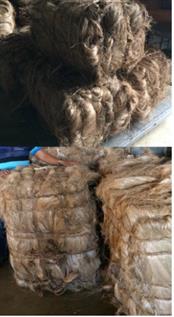 Abaca Fibre