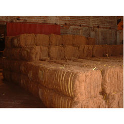 Coconut Fiber Manufacturer