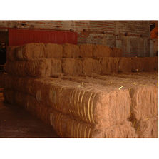 Coconut Fiber Manufacturer