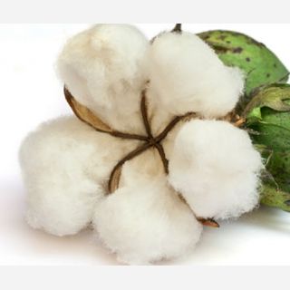 Cotton Raw Fibre