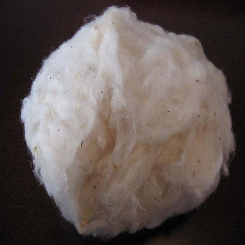 Raw Cotton Fibre Buyers - Wholesale Manufacturers, Importers ...