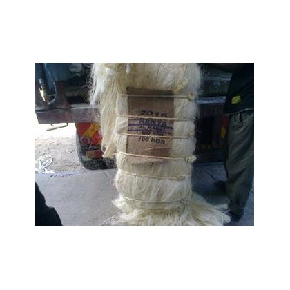 Sisal Fibre