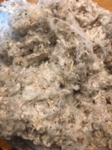 Gin Motes(Cotton Fibre)